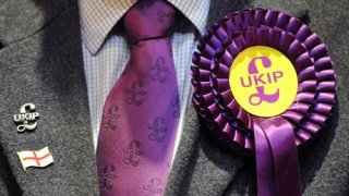 Close up of Ukip candidate's rosette