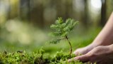 Оптимизмът, или откъде вземаме куража си за утре