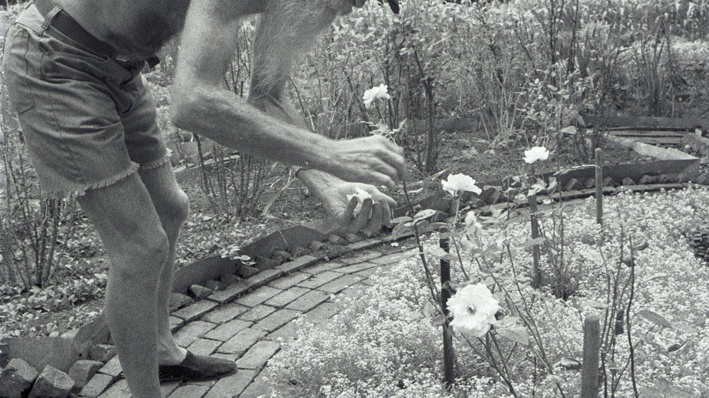 Adam_Purple_Tending_his_garden.