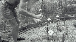 Adam_Purple_Tending_his_garden.