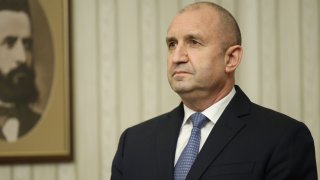 Според държавния глава с указа си за кабинета "Габриел" той е изпълнил задълженията си по Конституция