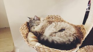 Processed with VSCO with f2 preset