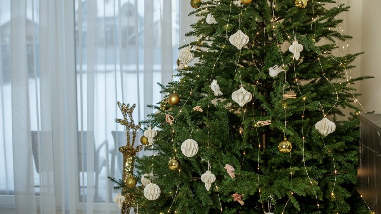 Стъклени топки
Шарените топки изпадат от търсените коледни играчки за сметка на прозрачните стъклени топки. Някои от тях може да побират мини коледни сцени като малка елхичка и снежен човек, а други да имитират цилиндричните коледни топки, които са поставяни на елхите във викторианска Англия.