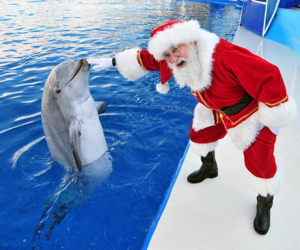 Сан Диего, Калифорния, Дядо Коледа позира с делфина Доли в SeaWorld