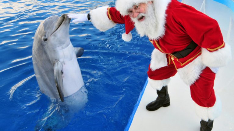 Сан Диего, Калифорния, Дядо Коледа позира с делфина Доли в SeaWorld