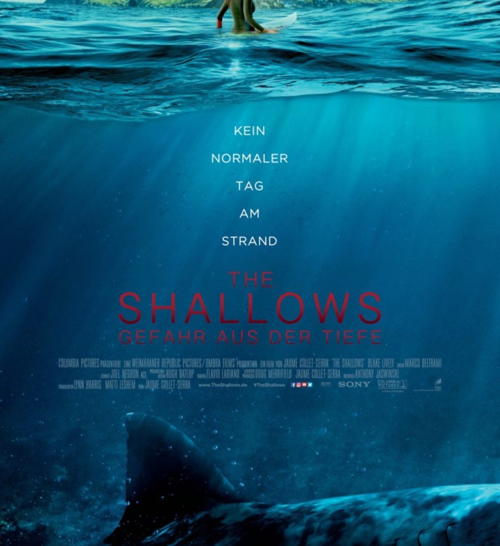 The shallows