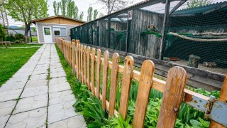 "Запомнете", казва строго мъжът на децата, "Птиците не са затворени тук, защото много искаме да ви ги показваме. Те са тук, защото не могат да се върнат в дивата природа"...