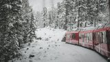 nir-himi-oNlAtDCzEso-unsplash