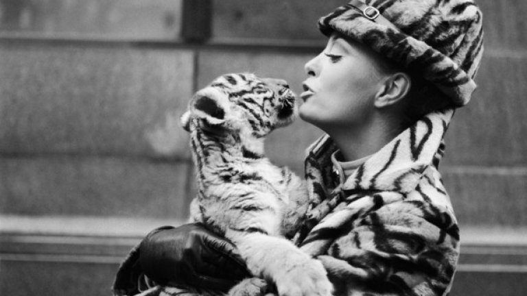 Дълго време не можех да си обясня защо - поло като поло, дънки като дънки, обувки като обувки, все едни и същи марки като тези на западняците, ама ей на, има нещо по-различно. И то е точно в тези две неща - или тоталното пренебрежение към дрехата като такава или обратното - огромната претенция в целия външен вид, благодарение на която всяко нещо трябва да крещи само за себе си