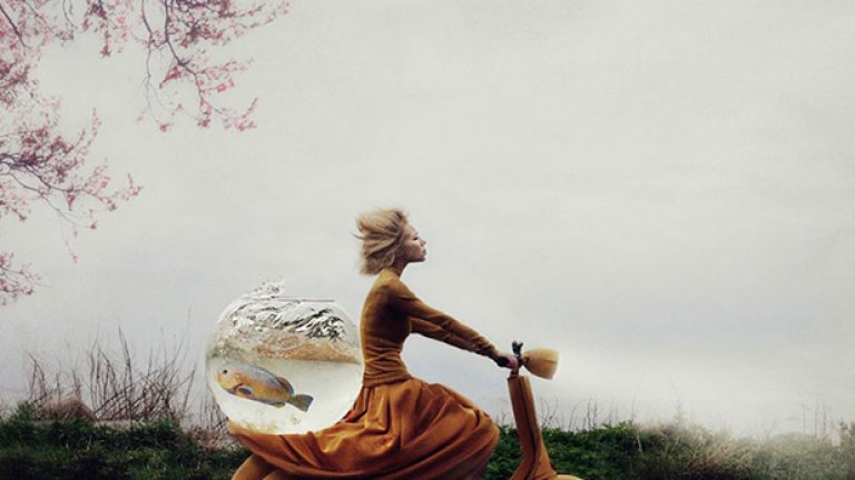 Rescue Operation, Кайли Спаре, Естония