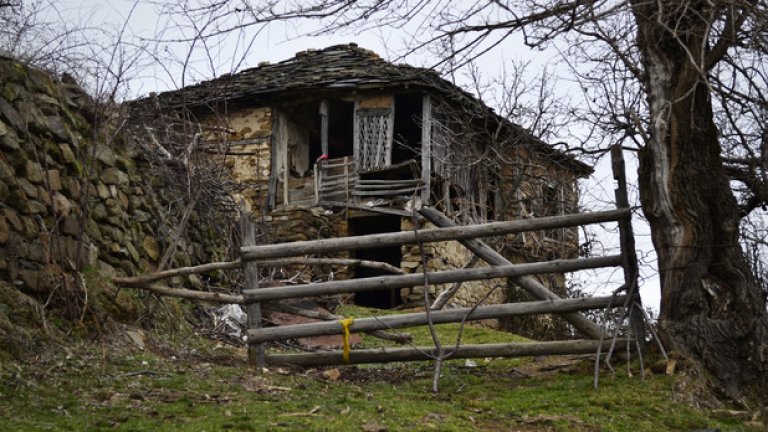 Ще оживее ли село Любино