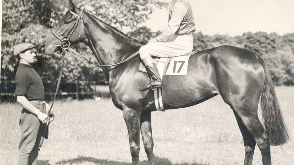 frankhayes