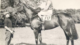 frankhayes