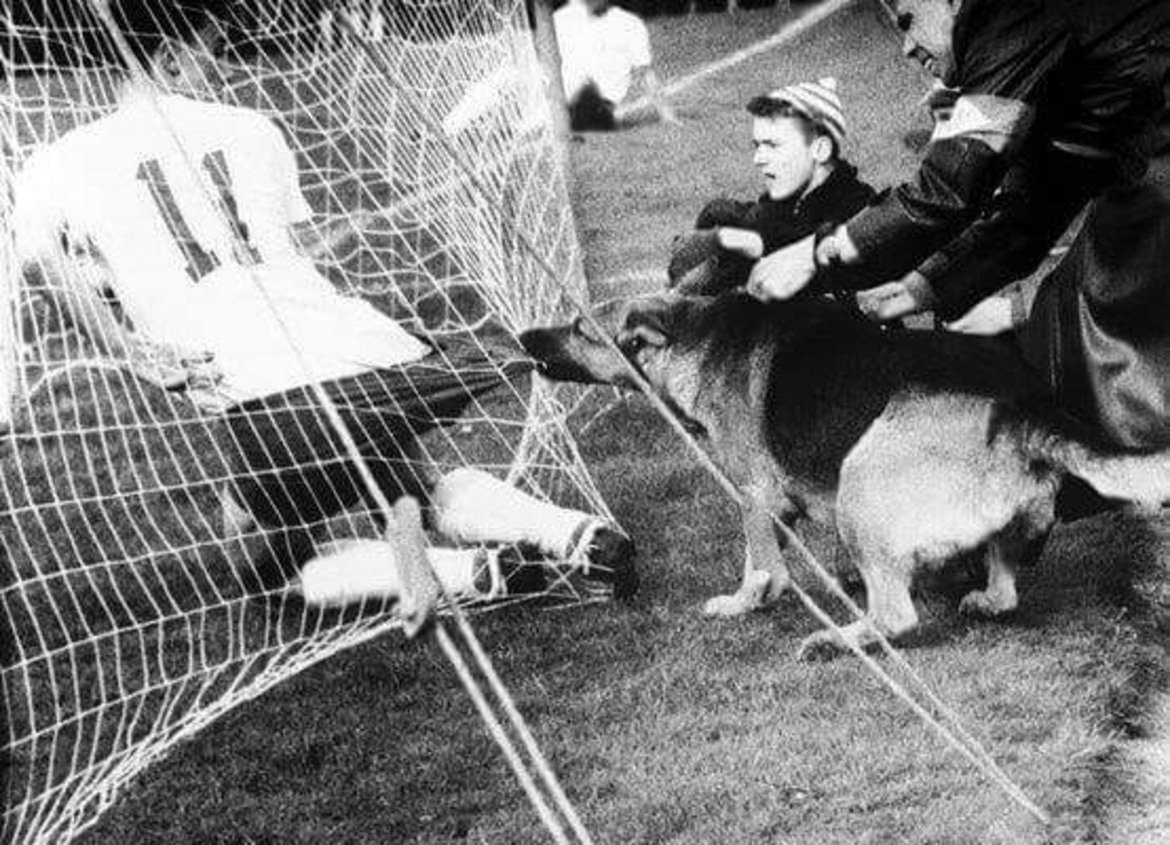 У дома и кучетата хапят! Кадър от мач между Фортуна Дюселдорф и Кьолн от 1959 г.