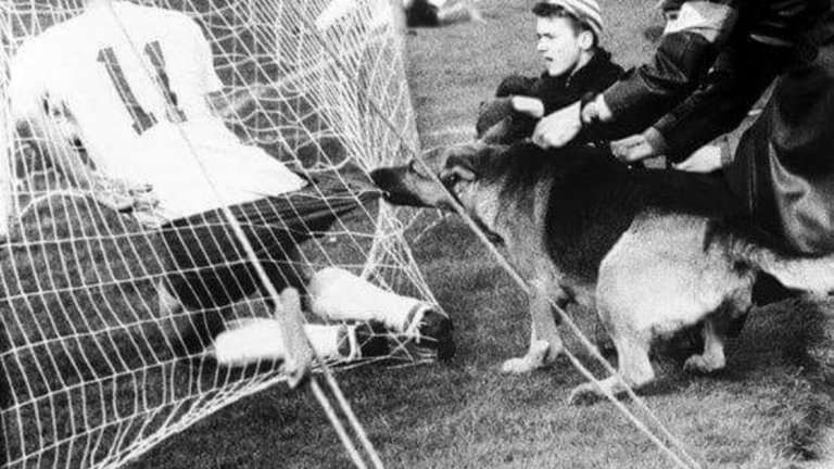 У дома и кучетата хапят! Кадър от мач между Фортуна Дюселдорф и Кьолн от 1959 г.