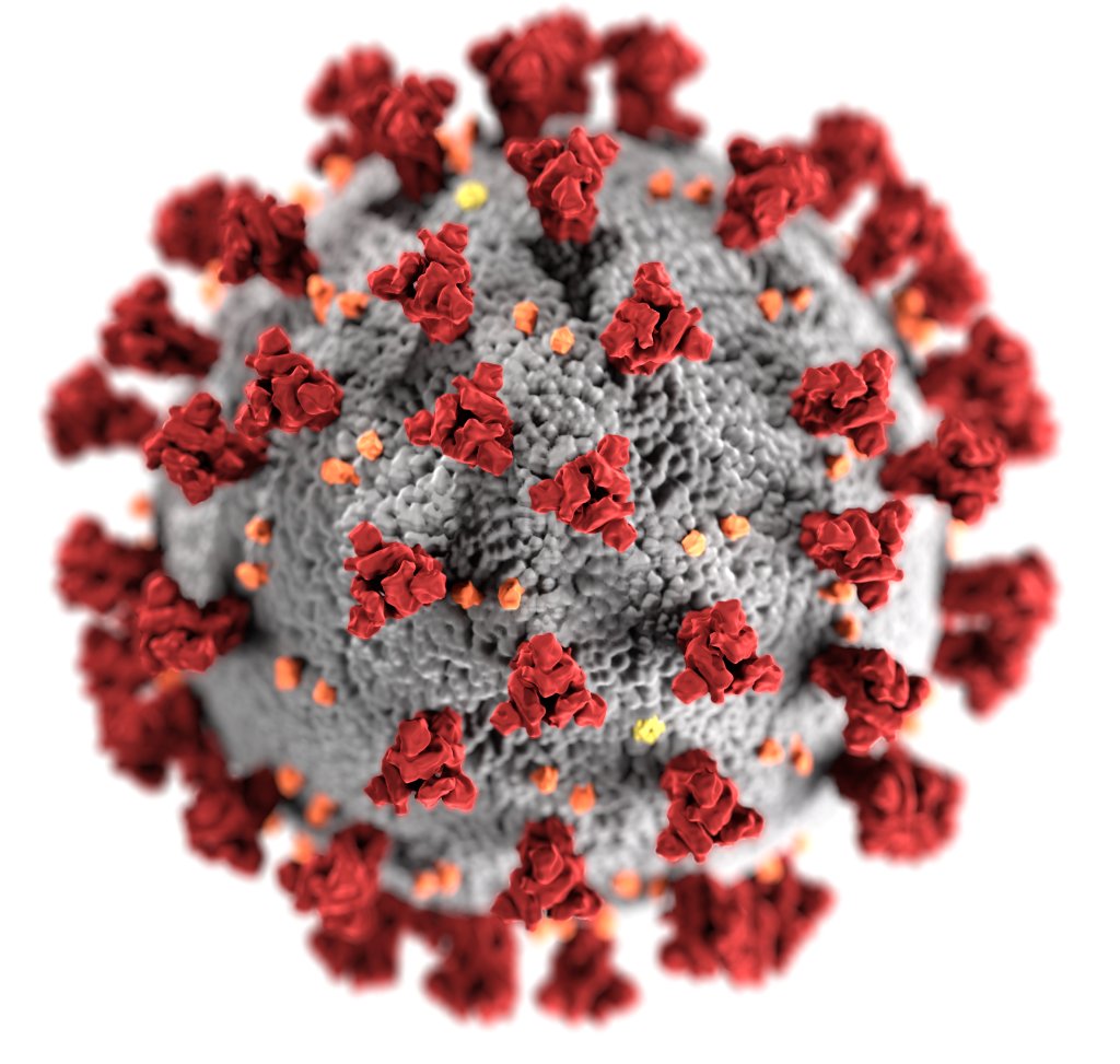 2019-nCoV-CDC-23312