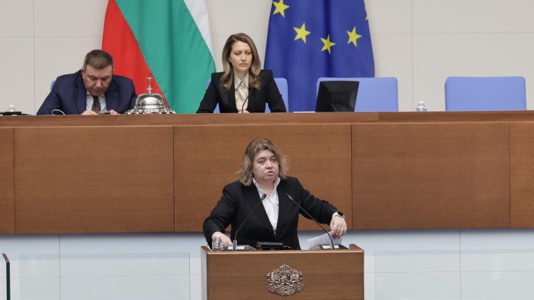 Осем депутати от социалистите гласуваха срещу общата позиция на партията