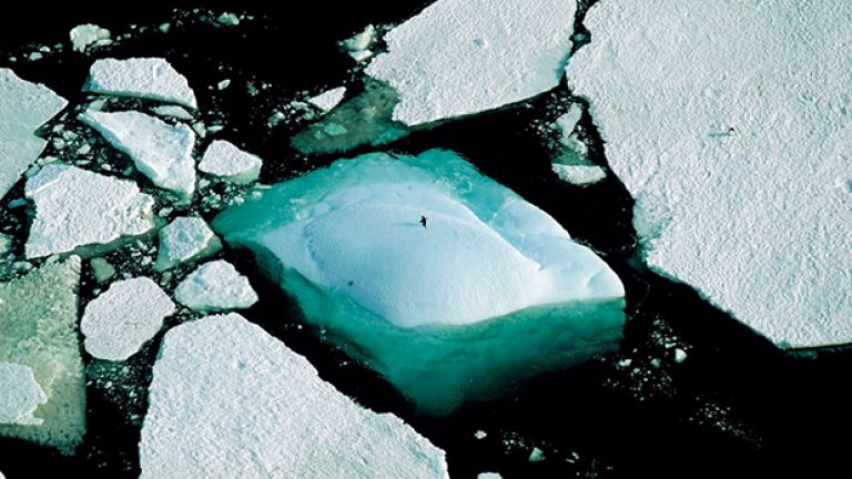 Ако не искате да сте тук и сега