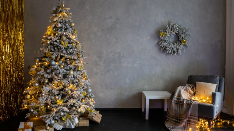 Носталгичната елха
Естетично украсеното коледно дръвче, което ни напомня за детството, превзе социалните мрежи и най-оригиналният начин да го повторите е като разгледате старите си празнични снимки. От тях може да почерпите идеи за декорация на коледната елха, която ще събуди старите ви спомени.
При липсата на снимки - доверете се на изобилието от лампички и стъклени топки, които винаги навяват усещане за миналото.