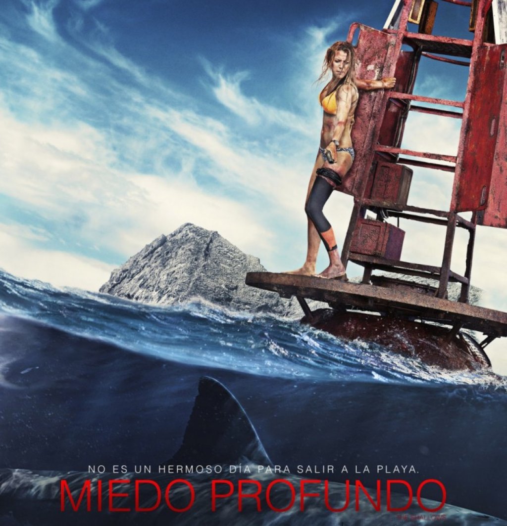 The shallows