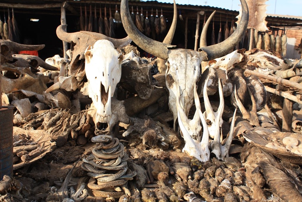 Skulls_at_Akodessawa_Fetish_Market_2008