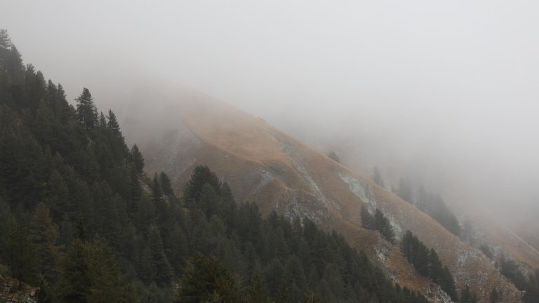 Мъж загина след тежко падане в Пирин