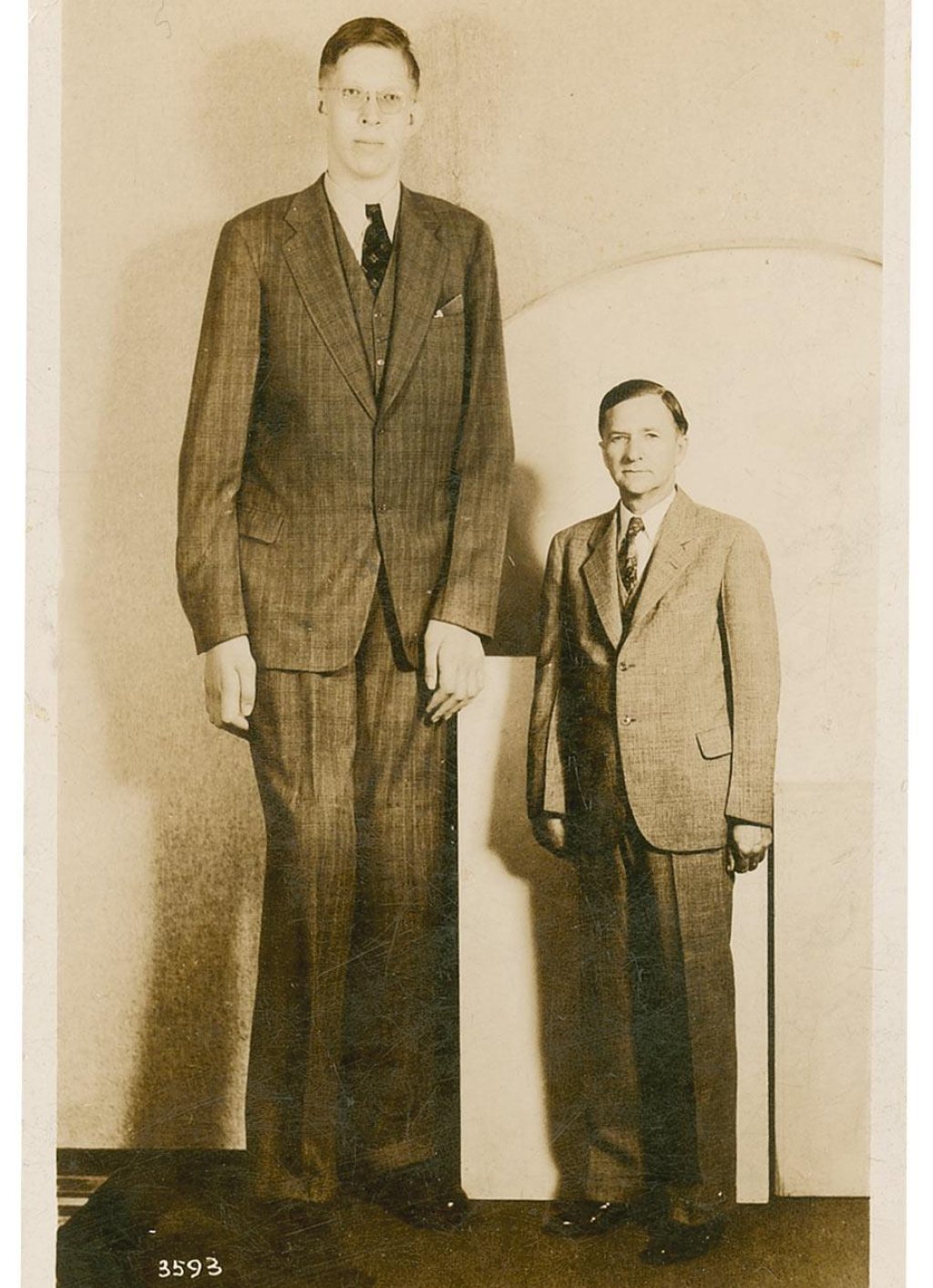 Robert_Wadlow_postcard