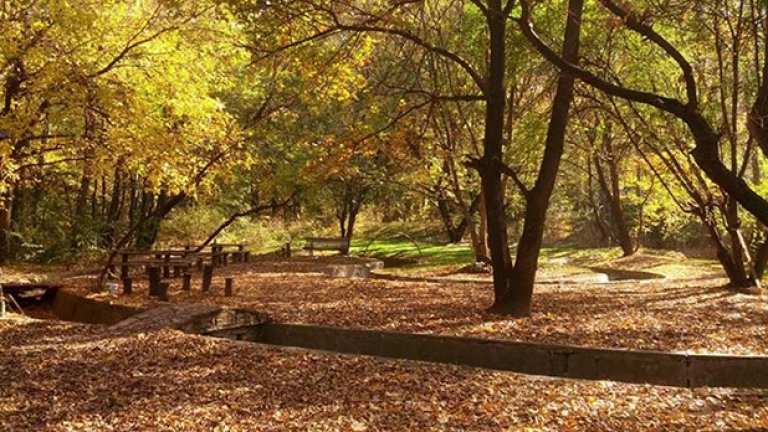 През есента на мястото на "Лодките" царува единствено природата