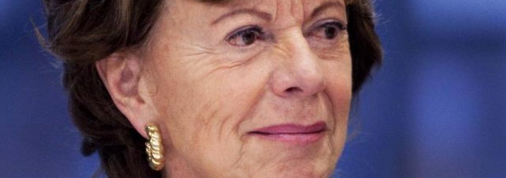 computers-adviseurs-neelie-kroes-gehackt