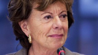computers-adviseurs-neelie-kroes-gehackt