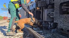 Влак блъсна камион във Франция: Един загинал и над 240 ранени