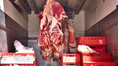 Месото е пренасочено за унищожаване