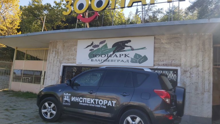 Отровиха 9 сърни от зоопарка в Благоевград