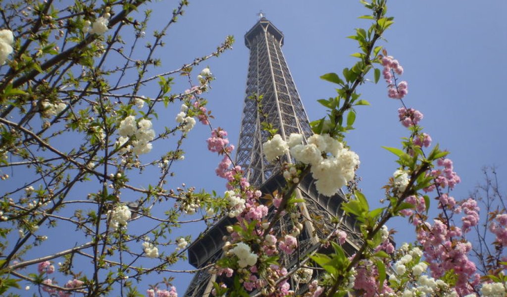 effet-printemps-sur-eiffel-acfc9740-c0a1-4aa0-a125-e05236e62f1f