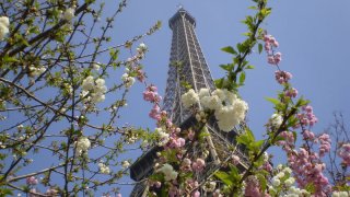 effet-printemps-sur-eiffel-acfc9740-c0a1-4aa0-a125-e05236e62f1f