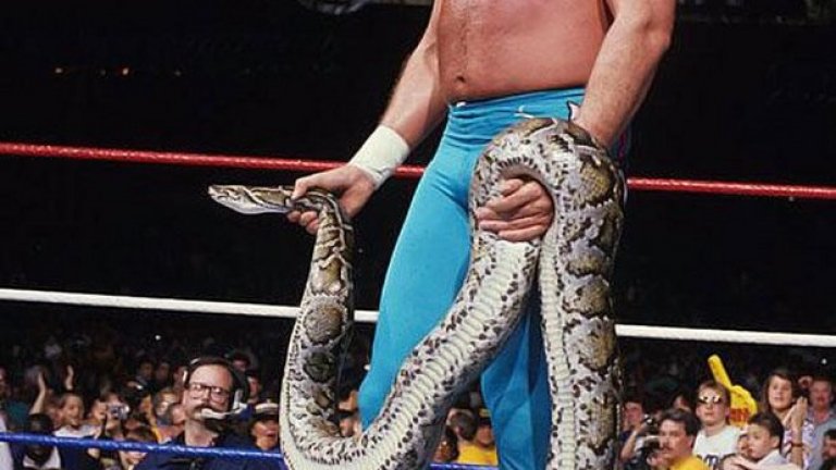 Джейк "Змията" Робъртс - звезда с истинска змия на ринга, която за щастие държеше здраво.