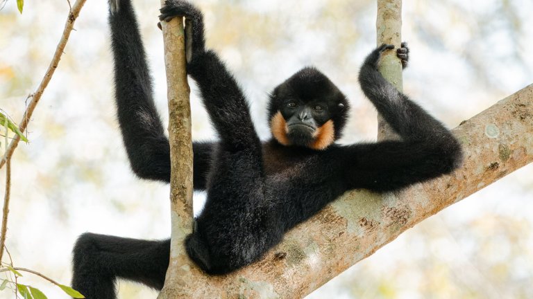 Най-смешните снимки на животни за 2025 г.