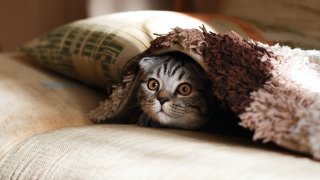 mikhail-vasilyev-NodtnCsLdTE-unsplash