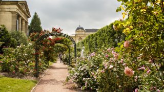 Градините, които произвеждат най-скъпите дизайнерски парфюми