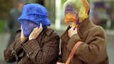 Инициатива от град Инчон залесява в пустинята Гоби
