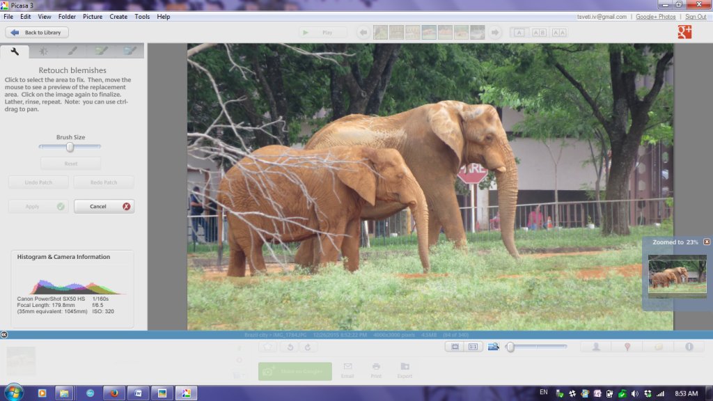 Picasa, слонове