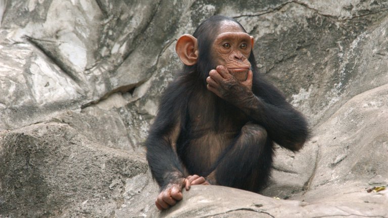 Или поне според човешките критерии