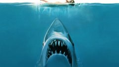 Бърджис твърди, че броят големи бели акули е намалял с 50% по източното крайбрежие на Северна Америка в годините след излизането на "Челюсти".
