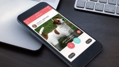 DOGLAR e българското мобилно приложение, което свързва собственици на домашни кучета