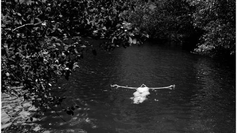 Франсис Макдорманд, Калифорния, 2009 година