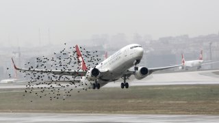 A Turkish Airlines plane takes off at Ataturk International Airport in Istanbul
