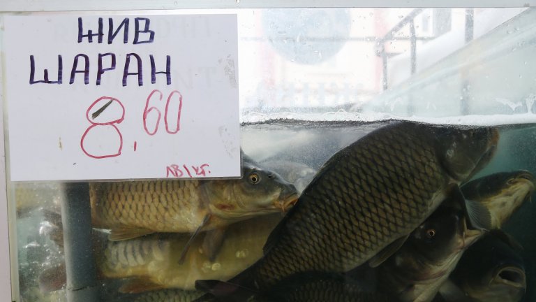 Проповядвайте тезата, че имените дни са еснафска отживелица