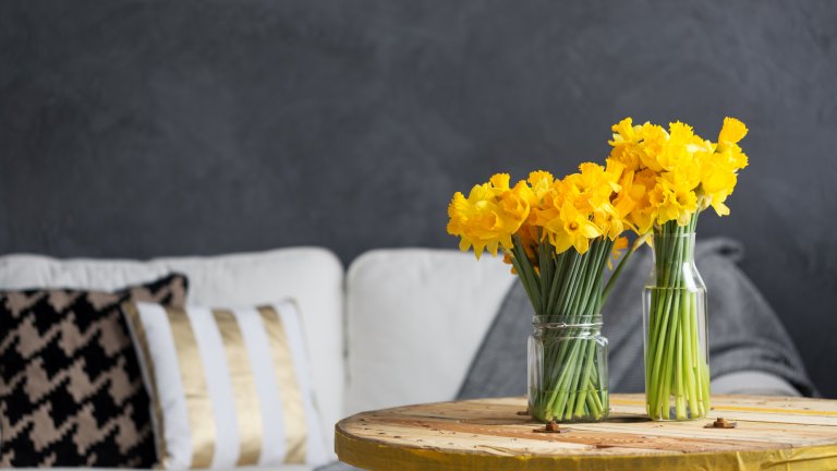 Създайте естествен акцент Може би нямате време и възможност да боядисвате мебели, да купувате лампа или възглавници в нов цвят, но пролетта е доста щедра поне с естествените цветове, които предлага. Това едва ли е нещо, което е далеч от ума ви, но колко често всъщност имате свеж букет на масата? Разбира се, цветята са най-хубави, преди да бъдат откъснати, но ако видите някоя жена, която продава нарциси/люляк/ириси, набрани от двора ѝ, помислете дали не искате да се възползвате от аромата и цветовете им у дома.