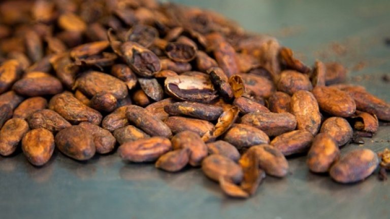 Знаете ли кой е първият шоколадов продукт, който е изцяло придобит от устойчиво земеделие?