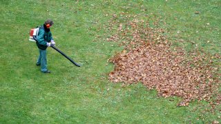 Референдумът ще реши зали в града може да се използват само електрически уреди